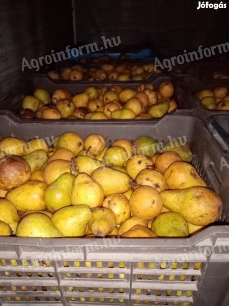 Pears for straw for sale