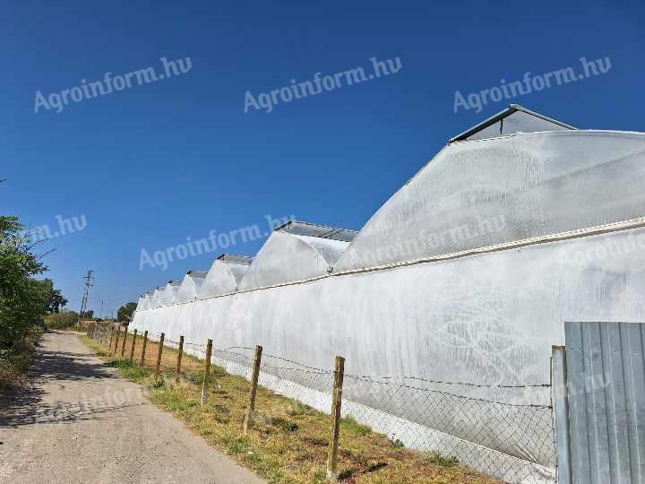 Gartenarbeit zu verkaufen/vermieten