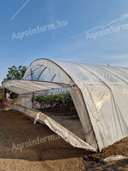 Foil greenhouse for sale in Kistelek