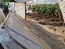 Foil greenhouse for sale in Kistelek