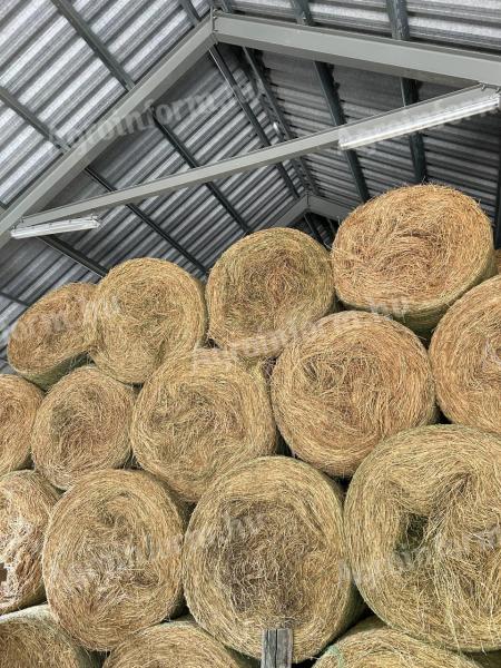 Bale sijena s kratkim stabljikama i bale lucerne