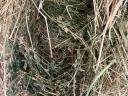 Short-stalk hay and lucerne bales