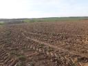 ARABLE LAND FOR SALE