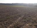 ARABLE LAND FOR SALE