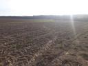 ARABLE LAND FOR SALE