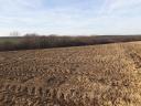 ARABLE LAND FOR SALE