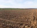 ARABLE LAND FOR SALE