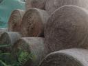 Hay bales for sale