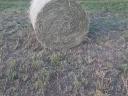 Hay bales for sale