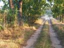 Grundstück/landwirtschaftliches Grundstück