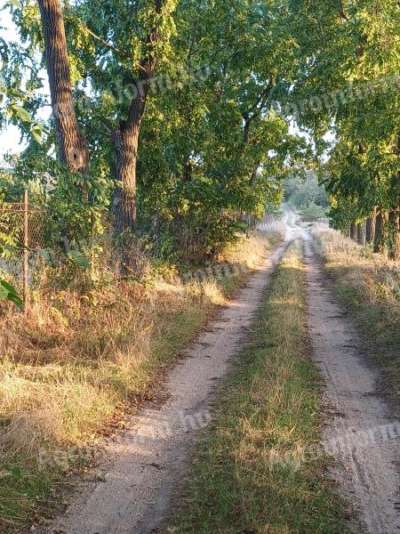 Grundstück/landwirtschaftliches Grundstück