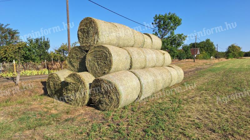 Lucerna hay for sale