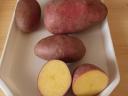 Potatoes for sale in small and large lots