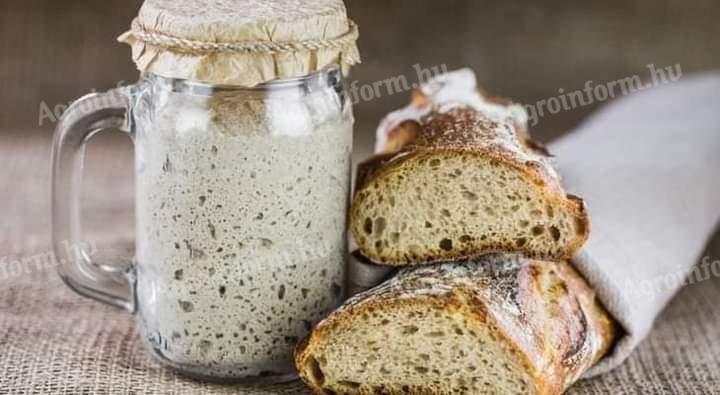 Spelt flour (organic)