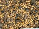 Green fertilizer mixtures for sale