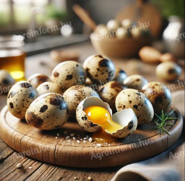 Fresh table quail eggs