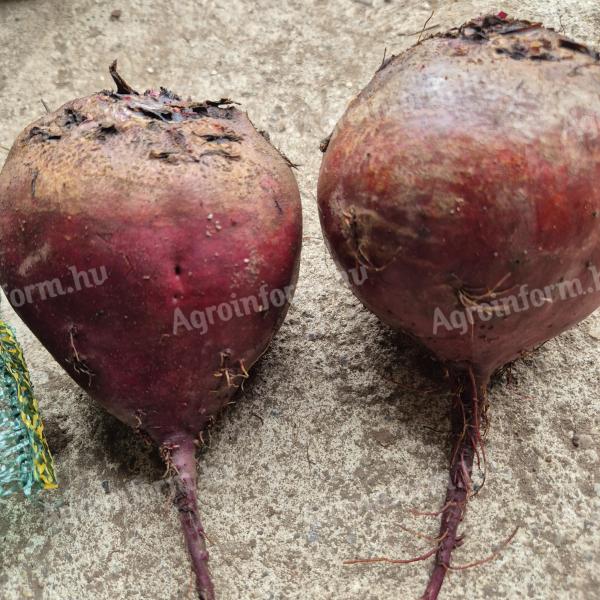 Beetroot