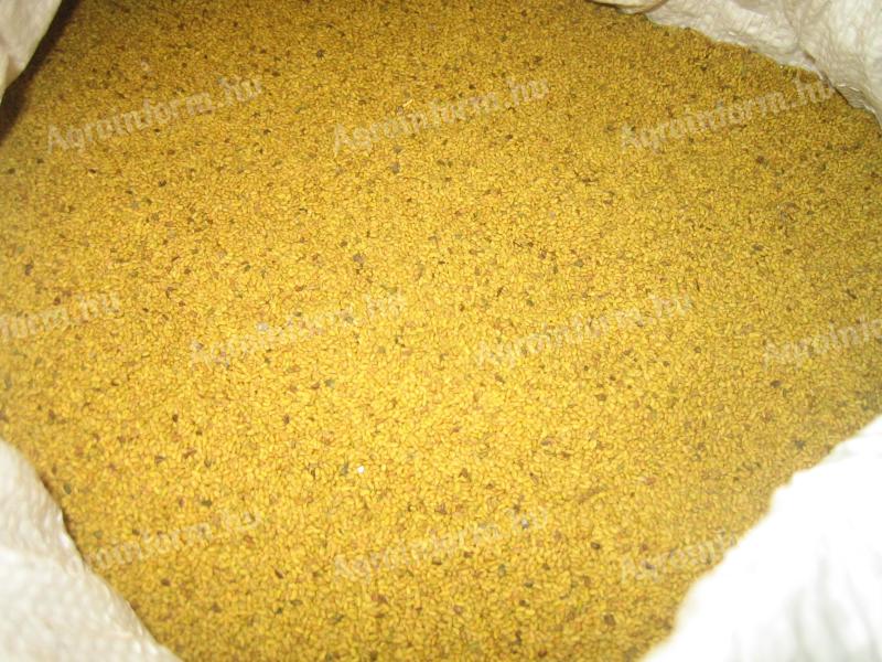 Alfalfa seeds for sale