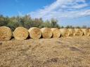 Millet hay for sale