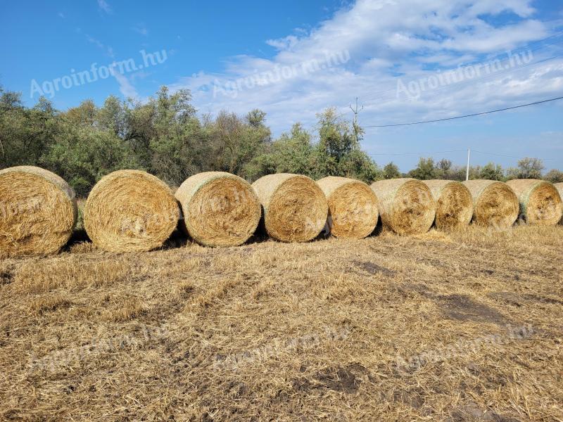 Millet hay for sale