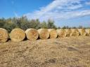 Millet hay for sale