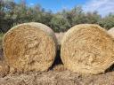 Millet hay for sale