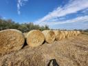 Millet hay for sale