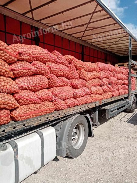 Koupit vlašské ořechy Milota ve skořápce