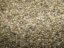 Hemp seeds for sale