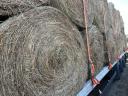 Grass hay bale several pieces