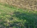 Arable land for sale