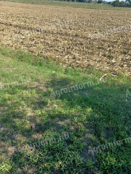 Arable land for sale