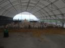 Animal hall with feeding alley, cattle shed, sheepfold, with building permit