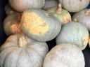 Pumpkins from a farmer (also ready to cook)