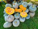 Pumpkins from a farmer (also ready to cook)