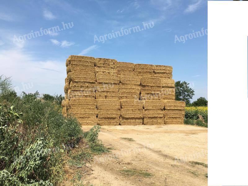 Large cubing straw for sale