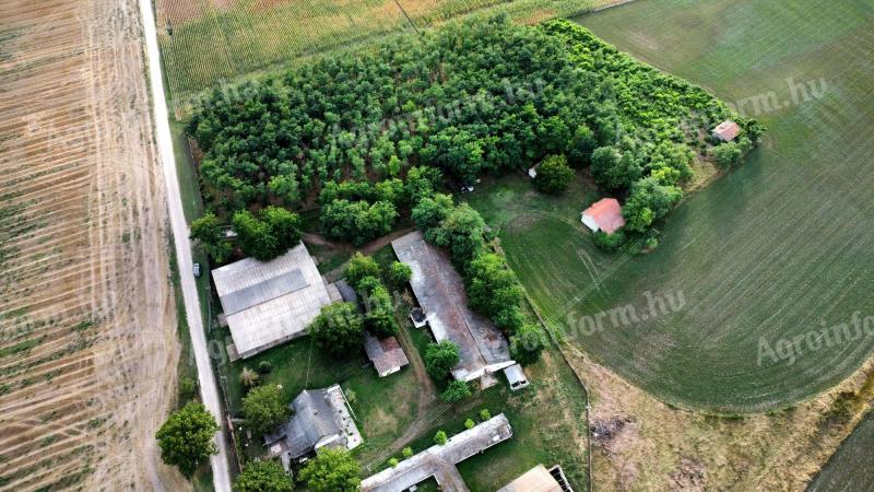 Agricultural property for sale on 4.7 ha in the Bugac area, in Felsőmonostor