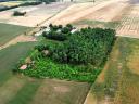 Agricultural property for sale on 4.7 ha in the Bugac area, in Felsőmonostor