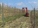 Vineyard pruning machine