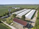 Pig farm for sale, 7200 places, fully automated