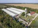 Pig farm for sale, 7200 places, fully automated