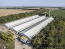 Pig farm for sale, 7200 places, fully automated