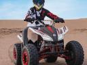 Quad, ATV, Handel, Reparatur, Service