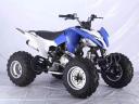 Quad, ATV, Handel, Reparatur, Service