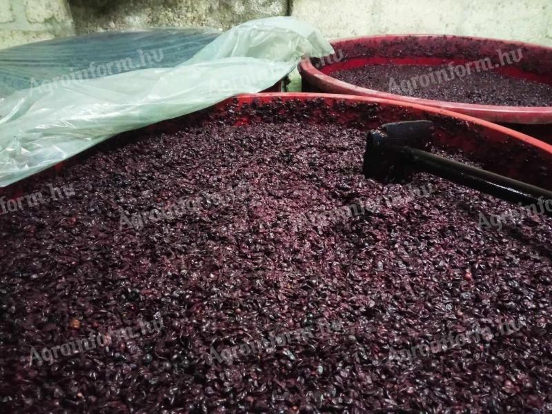 Premium red grape marc for sale in Eger