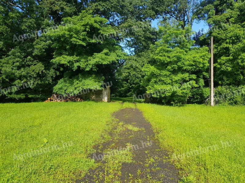 81 000 m² (8 ha) zemljišča z izjemno dobrim potencialom