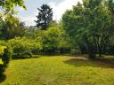 Haus im Mecsek-Wald in Pécs, 4000 m² großes Grundstück