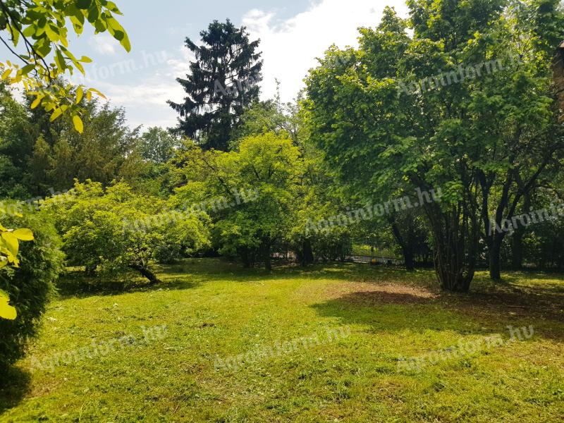 Pécs inland Mecsek forest house 4000 m² plot