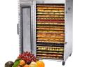 New Tehno MS professional dehydrator SS-22 for sale