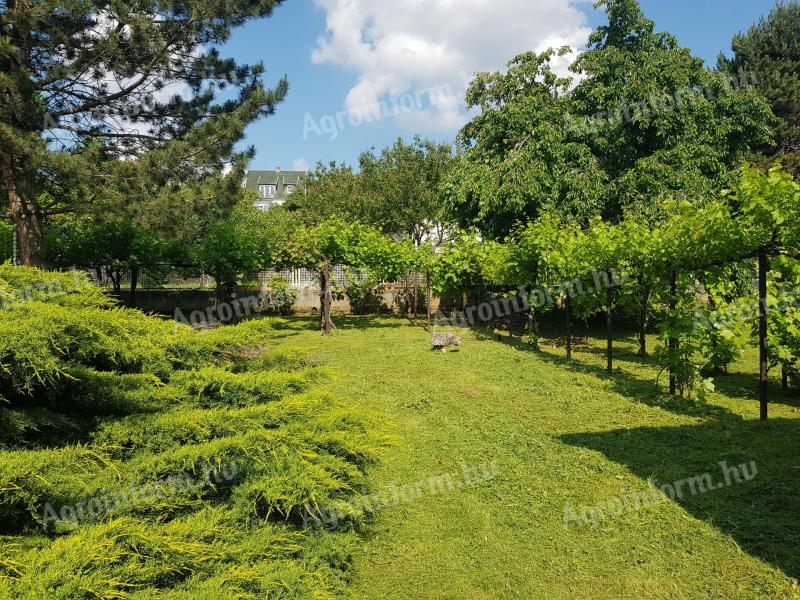 Pécs, Havihegy: 133 m² großes Familienhaus auf 800 m² großem Grundstück